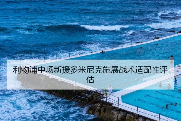 利物浦中场新援多米尼克施展战术适配性评估